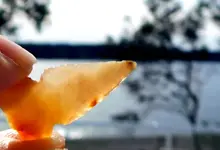 DSCN3496.webp