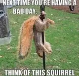th2GWW8CEX nuts.webp