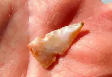 DSCN3499.webp
