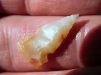 DSCN3493.webp