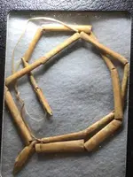 bone necklace.webp