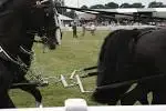 images(3).webp