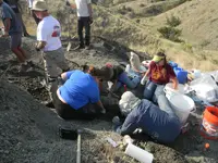 DSCN0084.webp