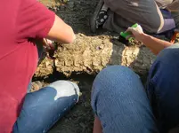DSCN0085.webp