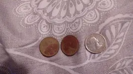 20170504_191312.webp