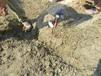 DSCN0095.webp
