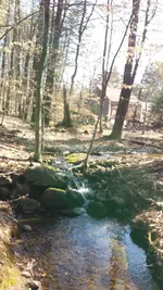 20170415_092212.webp