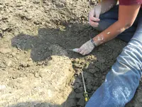 DSCN0098.webp