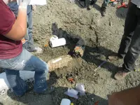 DSCN0101.webp