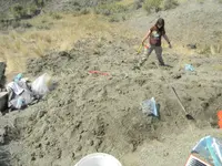DSCN0102.webp
