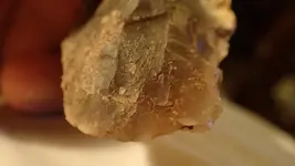 P5110441.webp P5110441.webp