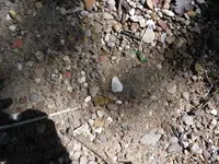 DSCF0772.webp