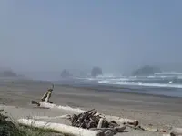 Bandon1A.webp