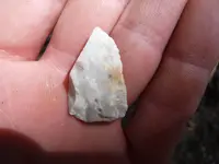 DSCF0774.webp