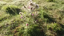 P4010004.webp