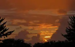 rainy sunset 037.webp