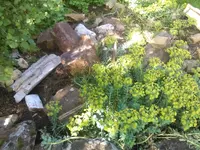 IMG_20170518_095418.webp