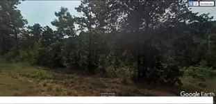 Target #1.webp