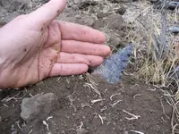 Badger hole knife in-situ series.webp