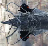DSCN1820.webp