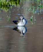 DSCN1827.webp