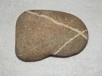 DSCN5767.webp