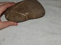DSCN5771.webp