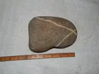 DSCN5778.webp