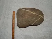 DSCN5779.webp