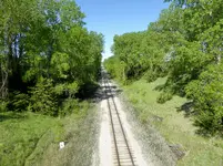 wood bridge iowa 1.webp