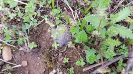 20170331_160616.webp