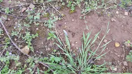 20170331_160158.webp