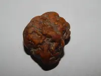 DSCN5728.webp
