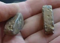 Game pieces 2.webp