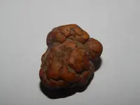 DSCN5729.webp