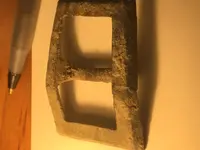 buckle 1.webp