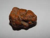 DSCN5731.webp