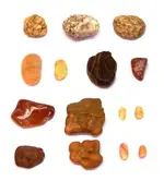DSCN4750.webp