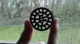 toy.webp