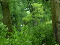 trip 051017 6.webp