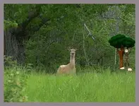 Image4.webp