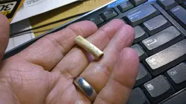 bone bead.webp