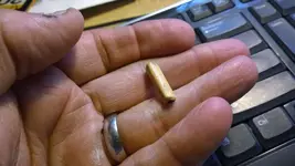 bone bead1.webp