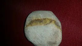 20170512_085525.webp