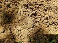 20170518_133428.webp 20170518_133428.webp