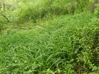 DSCN6047.webp