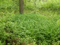 DSCN6048.webp