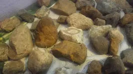 20170425_130211.webp