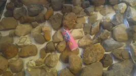 20170425_130146.webp