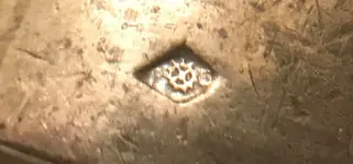 closeup.webp